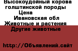 Высокоудойный корова голштинской породы › Цена ­ 110 000 - Ивановская обл. Животные и растения » Другие животные   
